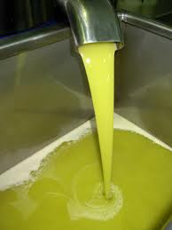 Olivenöl selbst herstellen